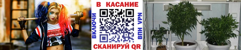 Наркошоп купить ГАШИШ  Конопля  МДМА  Меф мяу мяу  Псилоцибиновые грибы  Изобильный