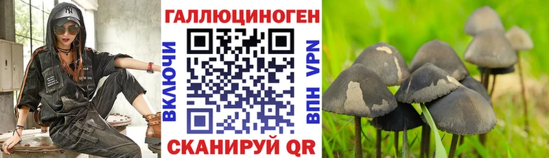 Купить закладки  Изобильный  Галлюциногенные грибы прущие грибы 